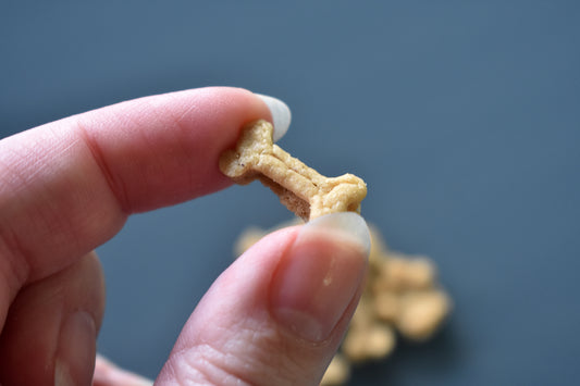 Apple-Peanut Butter Training Treats