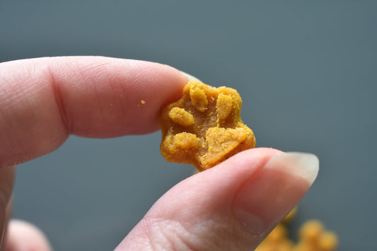 Pumpkin-Apple Training Treats