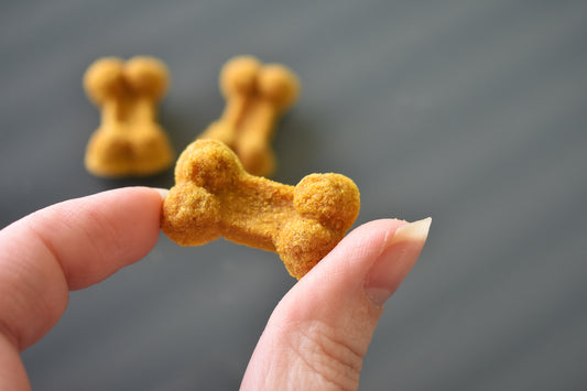 Pumpkin-Apple Bone-Shaped Treats