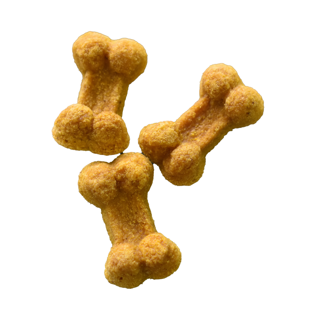 Pumpkin-Apple Bone-Shaped Treats